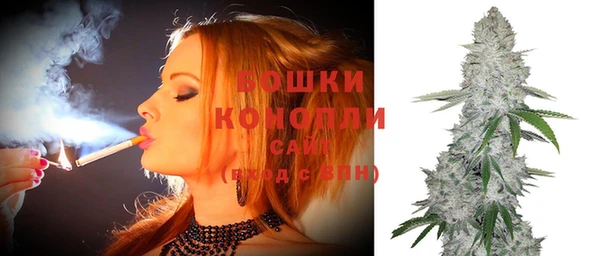 ПСИЛОЦИБИНОВЫЕ ГРИБЫ Верхнеуральск
