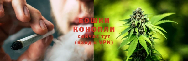ПСИЛОЦИБИНОВЫЕ ГРИБЫ Верхнеуральск