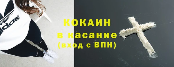 ПСИЛОЦИБИНОВЫЕ ГРИБЫ Верхнеуральск