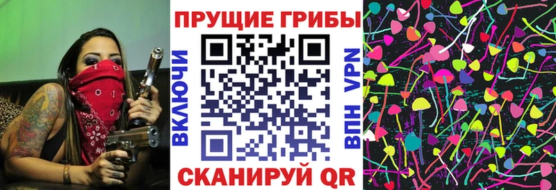Галлюциногенные грибы мицелий  Карасук 